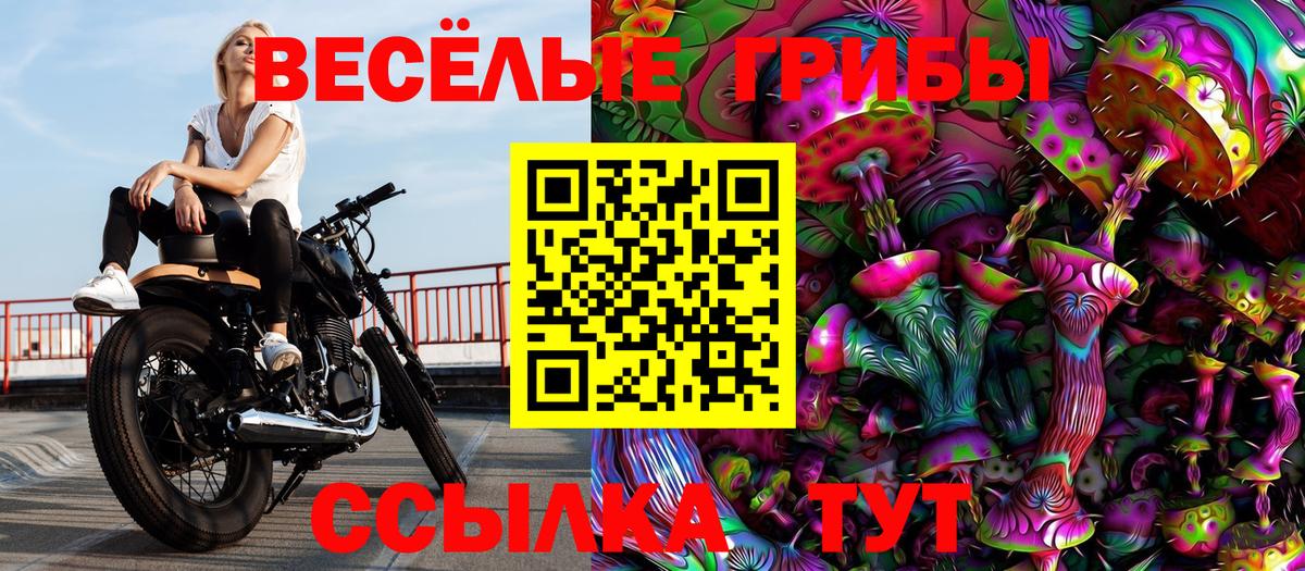 Вязники  Псилоцибиновые грибы мицелий  Вход с VPN 